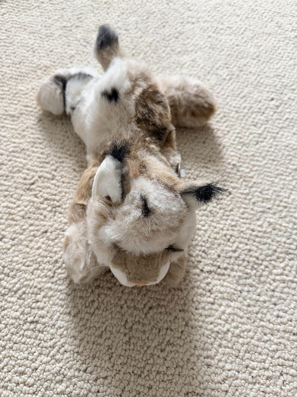 Aurora Flopsies Bobby Bobcat 12" Plush Lynx Wild Cat Bean Bag Stuffed Animal NWT